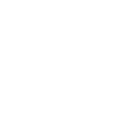 APPLE-PAY