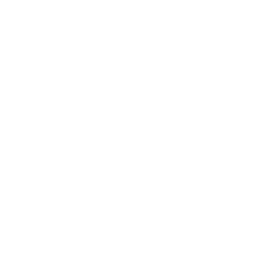 telephone